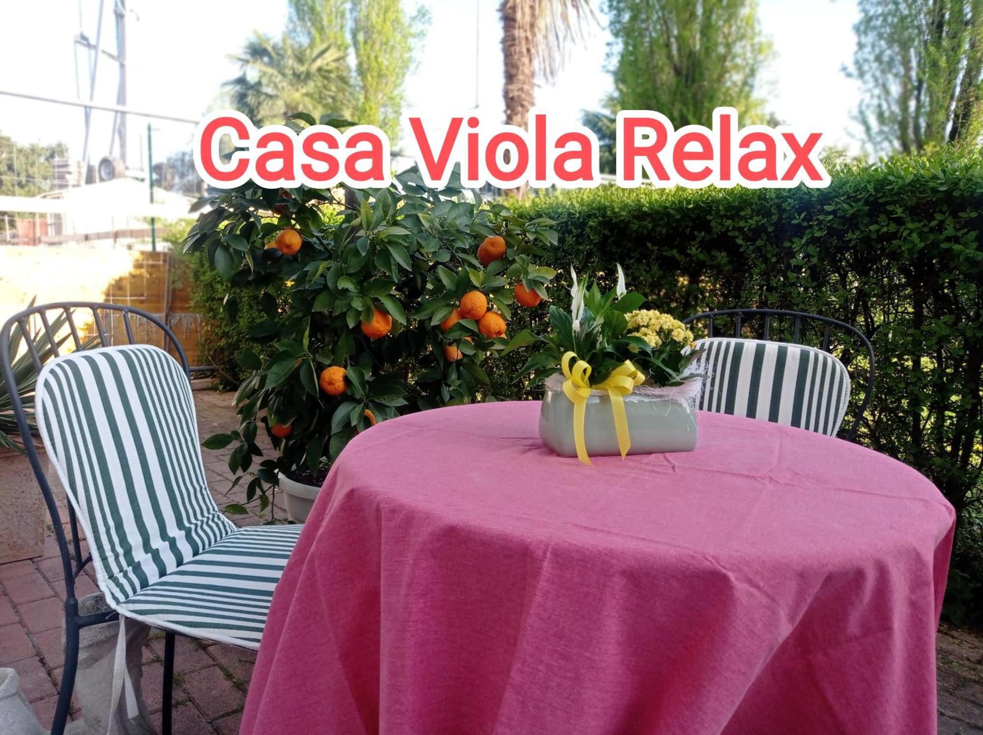 Apartment Casa Viola Park Free